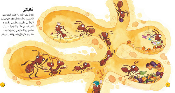 ⁨⁨عالم النمل - سلسلة اكتشف⁩⁩